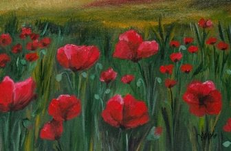 Campo de Amapolas