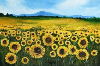 Campo de Girasoles